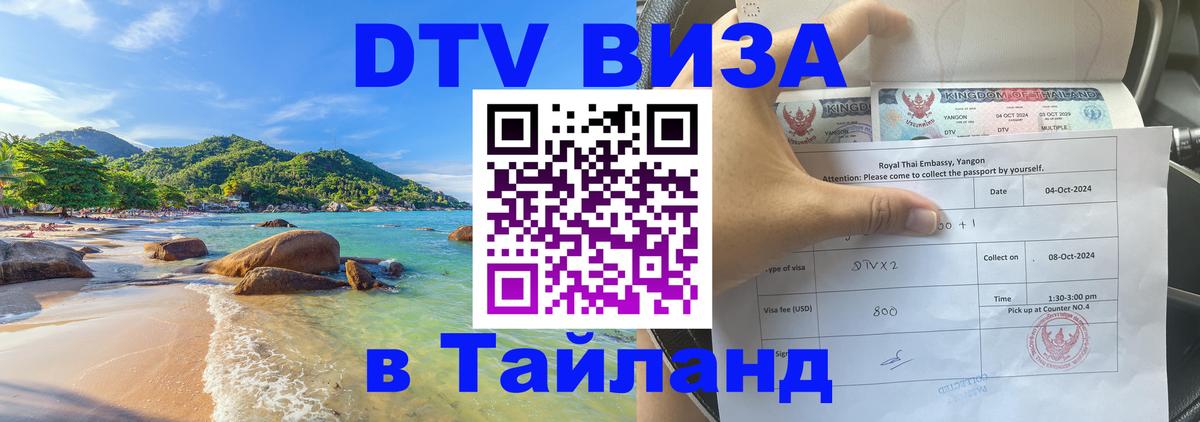 Оформление DTV визы под ключ: стоимость и тарифы, только загранпаспорт - 19.11.2025 